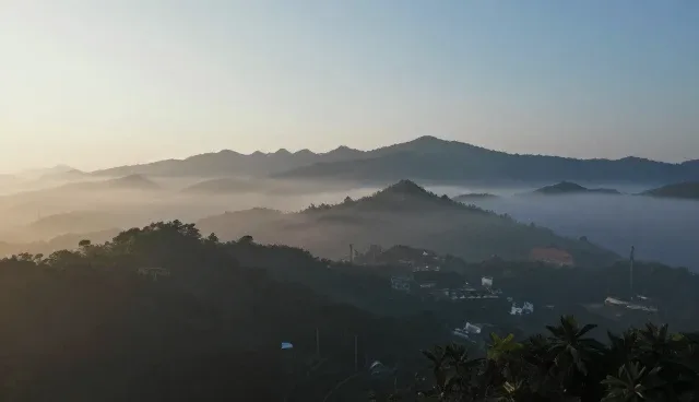 网络服务交付质量影响结果的关键因素